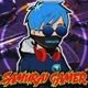 Samurai Gamer