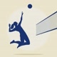Tudo sobre voleibol