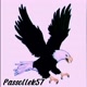 passollek57