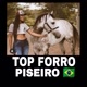 TOP FORRÓ PISEIRO