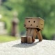Boneka Danbo