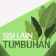 Sisi Lain Tumbuhan