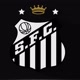 Santos sfc🦈