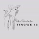 TINGWE 13