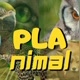 Planimal Planeta Animal