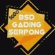 info.bsd.gadingserpong