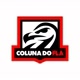 Coluna do Fla