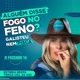 afazenda 14