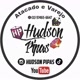Hudson Pipas sp