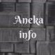aneka info