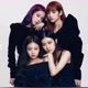 Blackpink13 na sua área