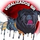 Viralizados BR