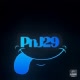 PnJ29