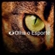 👁️Olha O Esporte ⚽