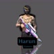 Harun Gamers☑️