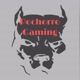 Pochorrogaming