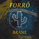 🪗FORRÓ BRASIL🇧🇷