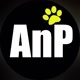 AnP🐈