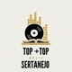 top+top Music sertanejo