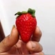 __strawberry __