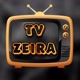 TVZeira