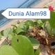 Dunia Alam98