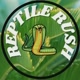 Reptile Rush🐍