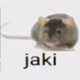 jaki