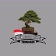 GEMPAL GONDROK bonsai