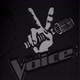 ~theVOICE mundo music