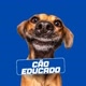 Cão Educado
