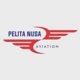 Pelita Nusa Aviation