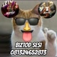BIZTOD SESI