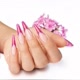 manicure_profision
