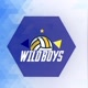 WILD BOYS