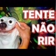 tentir nao rir 2024