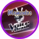 MOMENTOS_THEVOICE
