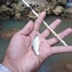 mancing ngapak