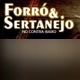 forro e sertanejos