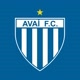 Avaí Futebol Clube