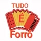 Tudo é Forró
