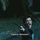expecto patronum