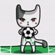Football Cat