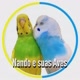 Nando e suas Aves