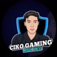 CIKO_ROAMER
