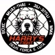 Harry's Fight