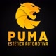 Pumaautmotiva