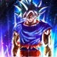 Son Goku