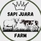 Sapi Juara Farm
