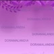 💜DORAMALANDIA💜